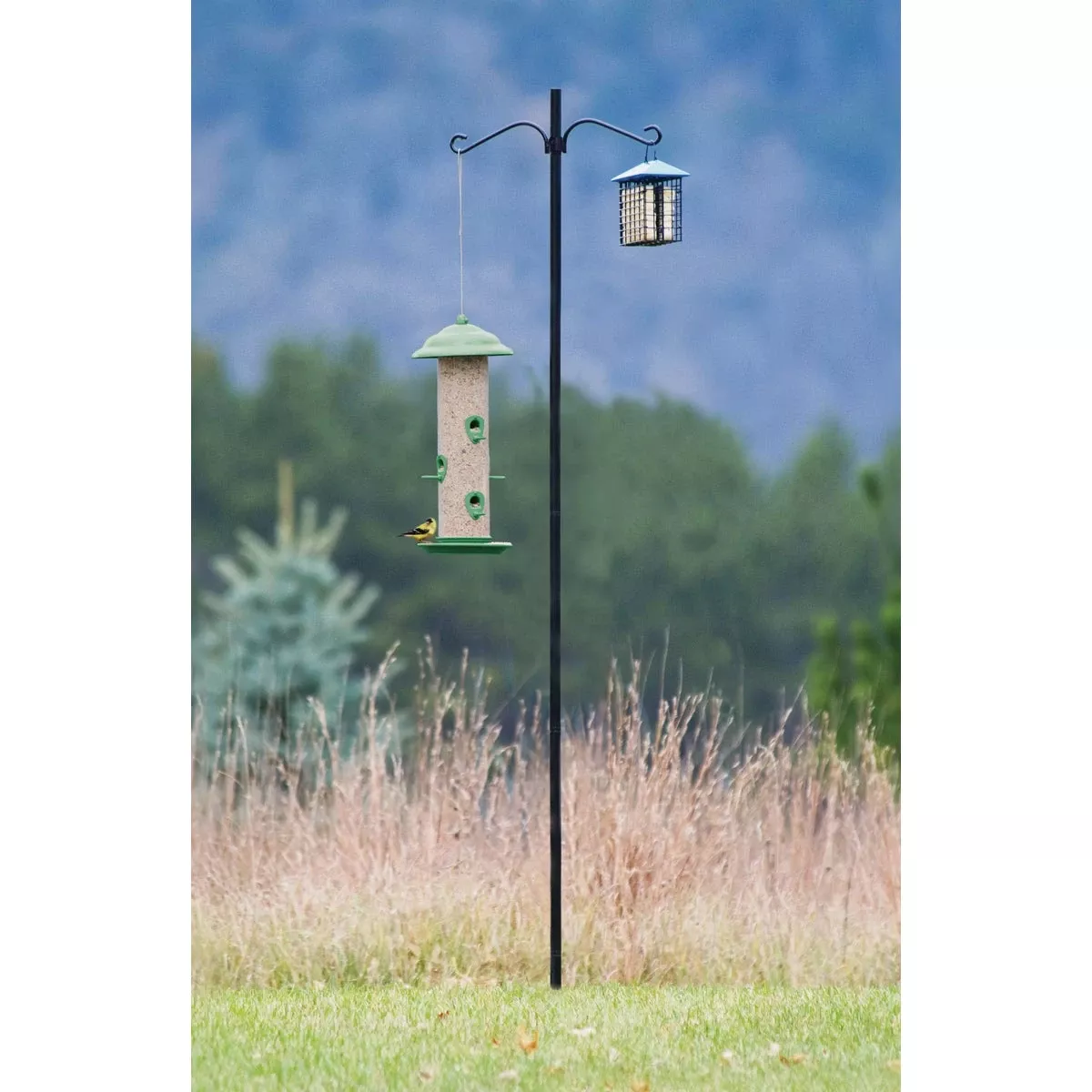 6.5 Ft. Steel Bird Feeder Pole Kit With Double Hanger
