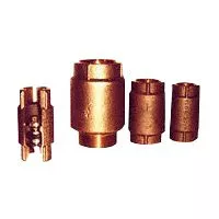 Check Valve- 1-1/2"- Brass- FPT- 400 PSI