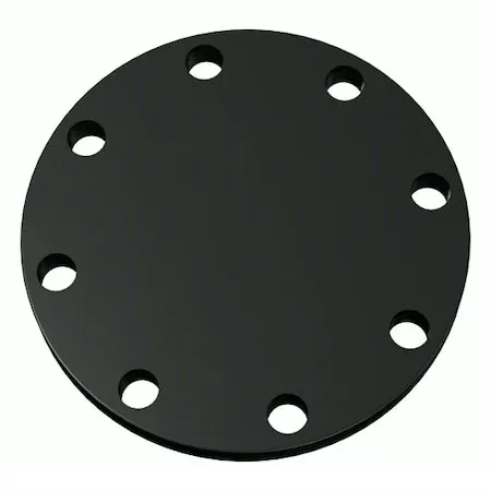 Flange, Carbon Steel, Blind, 9 in