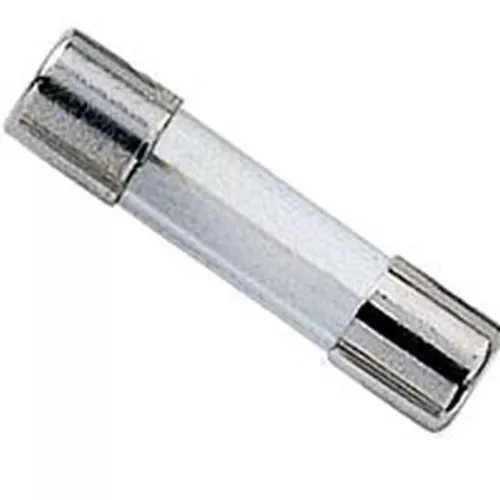 Fuse- GMA-1 Amp- 5 MM x 20 MM- Fast Fuse- 125 VAC- 2 Pack