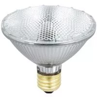 Halogen- PAR 30- 55 Watt- Flood- 960 Lumens- Bulb