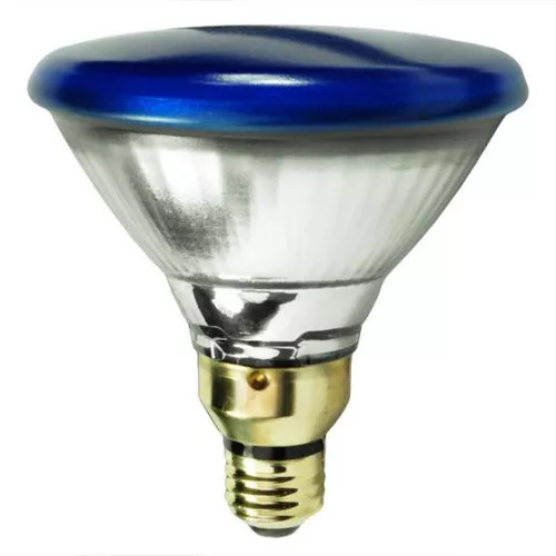 Incandescent Bulb- R 30-75 Watt- Blue Flood