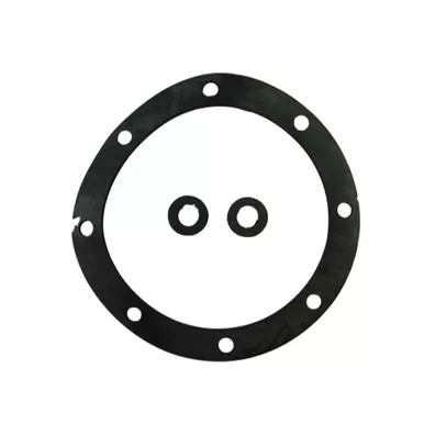 Leonard Valve Kit 1/300 Packings / Gaskets
