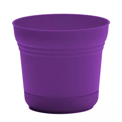 Planter With Saucer- 5"- Royal Lilac- Plastic