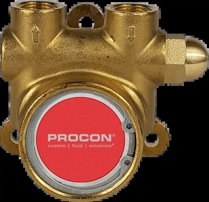 Procon 102E100F11BA Series 2 Rotary Vane Pump - 100 GPH Brass Water Pump