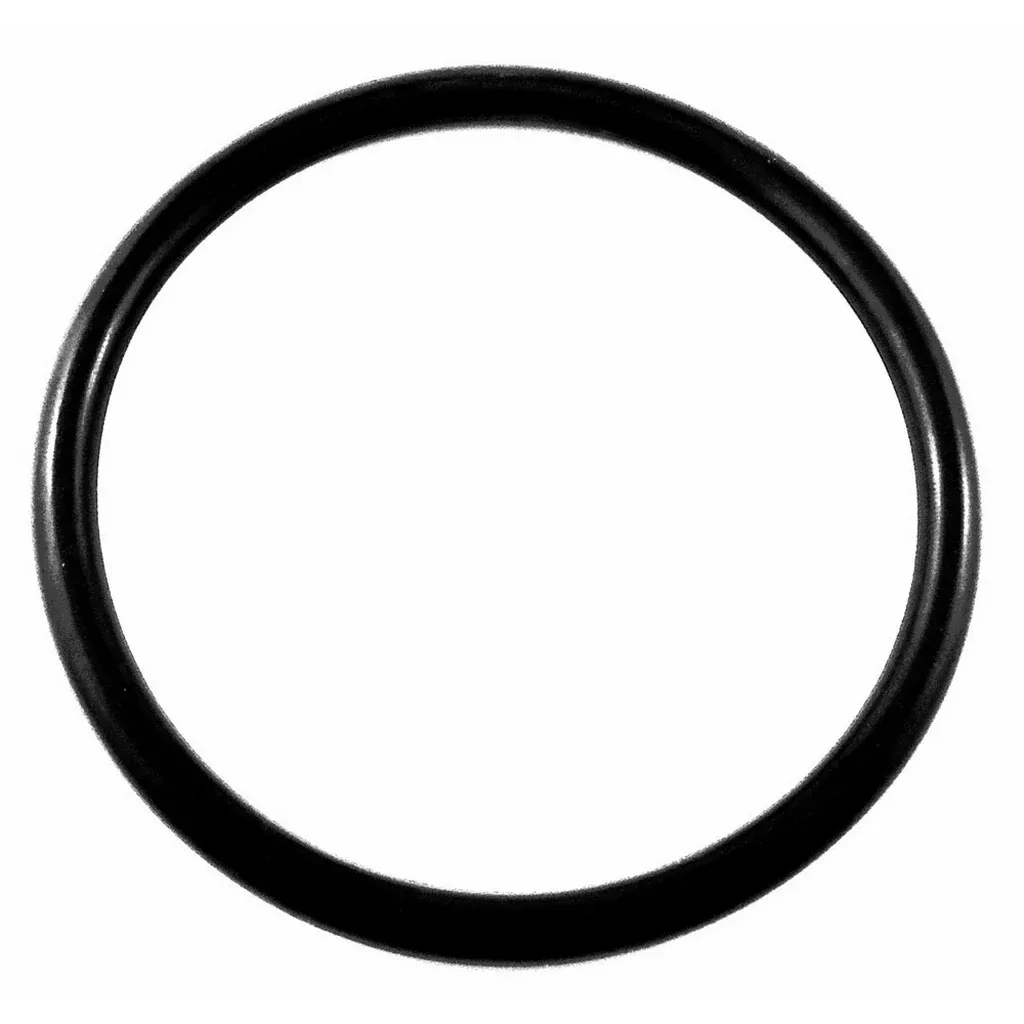 Universal Standard Tank Lid O-Ring — Replacement Seal for Commercial Beverage Storage Tanks