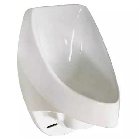 Waterless Urinal, Wall, 21 in H, 16 in L