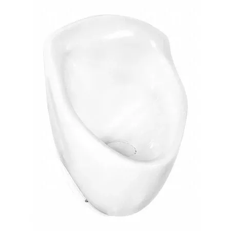 Waterless Urinal, Wall, 29 in H, 16 in L